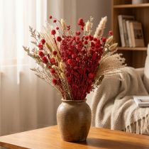 Itens Amaranto-globo (Gomphrena globosa), vermelho, seco, 45 cm, 100 g