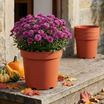 Itens Vaso de plástico Ø26cm 10 unidades