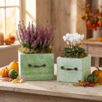 Itens Floreira gaveta de madeira verde claro 15x15/12x12cm conjunto de 2