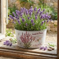 Itens Vaso de flores de plástico lavanda redondo Ø21cm Alt.11cm