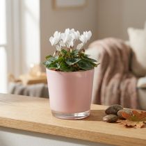 Itens Vaso de vidro para plantas balde de vidro rosa Ø10cm H8,5cm