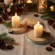 Itens Fatias redondas de bétula, naturais, 10 unidades – Decoração e Artesanato, Casamento, Natal