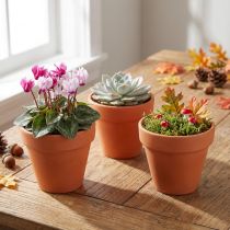 Itens Vaso de flores de argila Ø6cm de altura 5cm 10 unidades