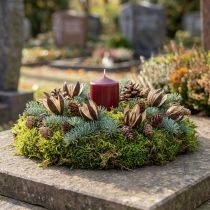Itens Decoração Natural de Lírio Selvagem Flores Secas Exóticas 6-8 cm 50 unidades