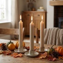 Itens Velas cónicas velas curtas castanhas decoração de outono Ø21/110mm 6 un