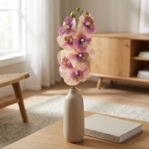 Itens Orquídea Phalaenopsis artificial 7 flores creme roxo 73cm