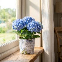 Itens Vaso de plástico para flores de hortênsia Ø13,5cm Alt.12cm