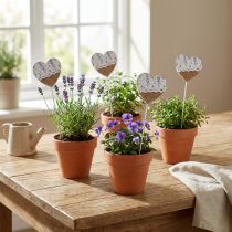 Itens Plugue de flor coração lilás estilo casa de campo 7 × 0,5 × 7 cm 12 unidades