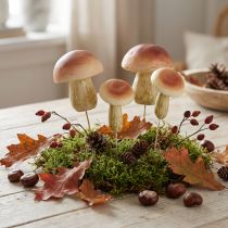 Itens Cogumelos decorativos em palitos pequenos e grandes marrons Alt.10/11,5cm 8 peças