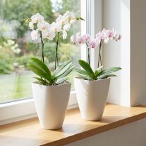 Itens Vaso de plástico para flores, vaso para orquídeas, branco, 16,5 cm de altura, 2 peças
