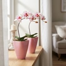 Itens Vaso de flores, vaso de plástico, vaso para orquídeas, rosa, 16,5 cm de altura, 2 peças