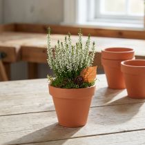 Itens Vaso de flores de argila Ø8cm de altura 7cm 10 unidades
