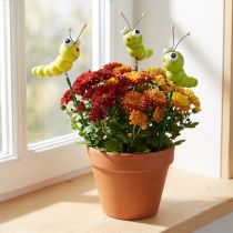 Itens Lagarta de madeira em bastão verde, amarelo 8 cm 24 unidades
