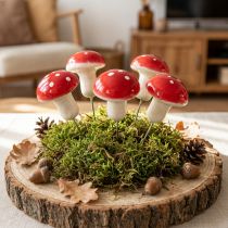 Itens Cogumelos decorativos para colar agáricos em arame Ø2,5cm 36 un