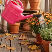 Itens Regador rosa, 5 litros