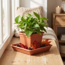 Itens Base para copos Lara quadrada 29cm x 29cm terracota 1ud