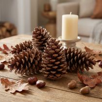 Itens Cones Maritima 14/18 naturais 25 un