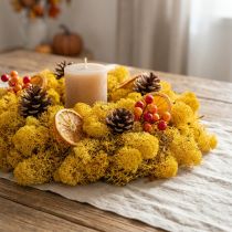 Itens Amarelo Musgo Rena 400g