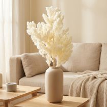 Itens Espargos secos decoração grama ornamental seca branca 80g