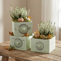 Itens Gaveta decorativa caixa de plantas verde gasto 15-23 cm conjunto de 3