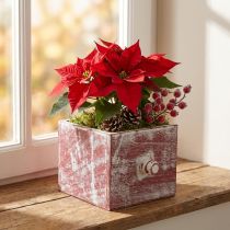 Itens Gaveta decorativa em madeira para plantas shabby chic vermelho branco 12cm