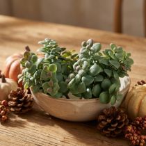 Itens Plantas artificiais de eucalipto artificial para colar 18 cm 4 unidades