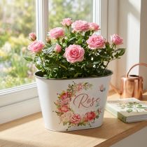Itens Floreira, vaso decorativo rosas, floreira C19cm A12,5cm
