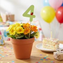 Itens Plugues numéricos aniversário 4 plugues de flores madeira 27,5cm 16 un