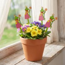 Itens Plugue flor sapo king plug decorativo madeira 8cm 12 un
