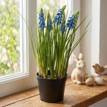 Itens Jacintos artificiais em vaso azul 24cm