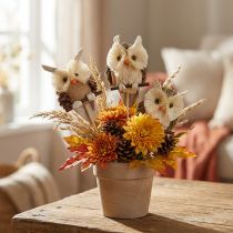 Itens Coruja decorativa flor plugues decoração de outono natural Ø4cm Alt.8cm 4 unidades