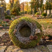 Itens Coroa de musgo, coroa decorativa, musgo verde com musgo orelha-de-rato, natural, Ø30cm