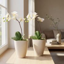 Itens Vaso para orquídeas, vaso de flores, plástico, bege mesclado, 13,5 x 13 cm, 16,5 cm de altura, 2 peças
