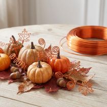 Itens Arame de alumínio para artesanato, laranja, Ø2mm, 500g, 60m, para decorações DIY.