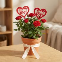 Itens Plugue de flor coração plugue decorativo de madeira vermelho Love 7cm 12pcs