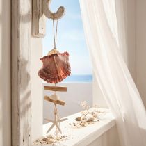 Itens Cabide decorativo marítimo concha estrela do mar Ø10–12cm 40cm