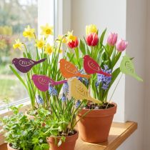 Itens Decoração de primavera plugues de flores madeira decoração de pássaros 28 cm 18 unidades