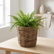 Itens Cesto decorativo com design que lembra trepadeiras, ideal para vasos de flores e arranjos de mesa.
