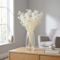 Itens Gypsophila White Dry Grasses Decoração Creme 65-70cm 100g