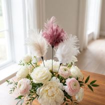 Itens Penas decorativas em um palito, penas de pássaro, branco/creme/rosa antigo, 3 peças