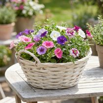 Itens Cesto vintage branco para plantas, Ø30cm A14cm com alças.