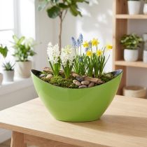 Itens Planta barco tigela decorativa verde oval 20cmx9cmx12cm
