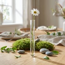 Itens Tubo de ensaio, mini vaso de vidro, tubo para flores, 100×10mm