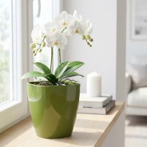 Itens Vaso de orquídea brilhante Ø12,5cm verde oliva 1 unidade