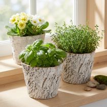 Itens Vaso para plantas com aparência de casca de árvore, ideal para decoração de interiores rústica e arranjos de plantas, 12 cm, conjunto com 4 peças.