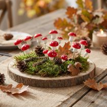 Itens Mini agáricos contra mosca em arame vermelho branco cogumelos decorativos Ø2cm 48 un