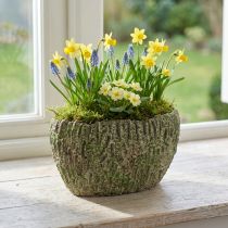 Itens Plantador de concreto oval antigo look verde, marrom 24×14×13cm
