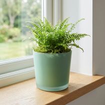 Itens Vaso de flores de vidro plantador verde banheira de vidro Ø11.5cm H11cm