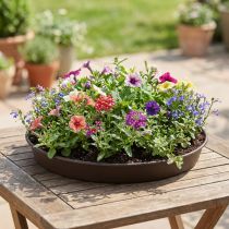 Itens Anel de planta "Rondino" Ø35-55cm, 1pce