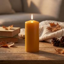 Itens Vela pilar PURE amarelo mel Velas Wenzel 130/60mm